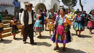 Las Bodas de Oro mas Bonitas de Oaxaca #oaxaca  #bodas #tradiciones