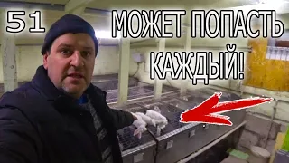 ПЛОХОЙ КОРМ ДЛЯ КРОЛИКОВ!  ЧТО БУДЕТ, ЧТО ДЕЛАТЬ!