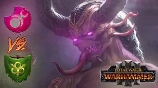 N'KARI Is Back On The Menu! Slaanesh vs Nurgle - Total War Warhammer 3