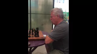 Поющий шахматис29 июня 2016 г.
