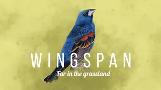 Paweł Górniak -  Far In The Grassland - Wingspan Soundtrack