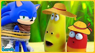 LARVA TUBA: Cartoons - Comics | CARTOON FULL MOVIES | YELLOW, RED AND BLUE - CARTOONS BOX 560