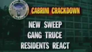 Cabrini Greens Gang Truce (1992) #gangsters #chicago #streetgangs