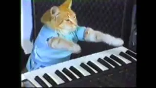 Play Clay Bennett Off, Keyboard Cat!!! (Sonicsgate.org)