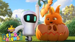 PLAYING HIDE AND SEEK SONG | SING ALONG | Sunny Bunnies | Video for kids | WildBrain Zoo