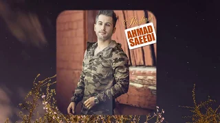 Ahmad Saeedi - Rozhan |احمد سعیدی - روژان lyric video