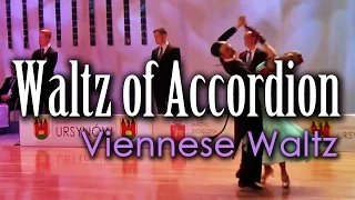 VIENNESE WALTZ | Dj Ice - Waltz Of Accordion (60 BPM)