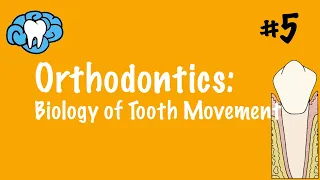 Orthodontics | Biology of Tooth Movement | INBDE, ADAT