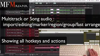 Multitrack or Song section : Import/marker/arrange/edit/group/regions.
