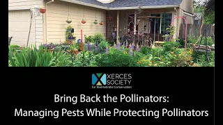 Bring Back the Pollinators: Managing Pests While Protecting Pollinators