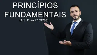 Princípios fundamentais da Constituição - Direito Constitucional (Art. 1º ao 4º)