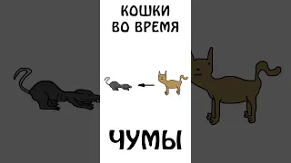 "Кошки во время чумы" #кошки #сэмонелла #шортс #авызналиэто #животные #иф #чума