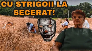 La Secerat cu Strigoii | Povești de Groază cu Bunica #2