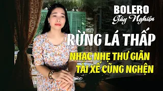 Bolero Gây Nghiện ❖ RỪNG LÁ THẤP ❖ Quán Cafe Thư Giãn l Tài Xế Hãy Nghe  l Nguyệt Nga cover