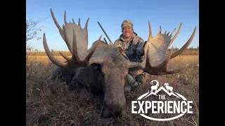 Alaskan Wilderness Dream -GIANT  Moose, and Interior Grizzly Bear - With Dillinger River Outfitters