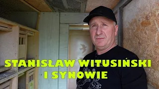 WITUSIŃSKI TEAM - CZOŁOWA HODOWLA GOŁĘBI POCZTOWYCH