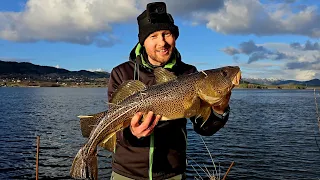 ЧУТЬ НЕ ОСТАЛСЯ БЕЗ УДОЧКИ!!Рыбалка в Норвегии на Донку и спиннинг, рыбалка в Норвегии с берега.