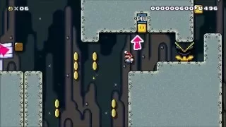 Super Mario Maker: "AGDQ: Kill or Save the Animals?"