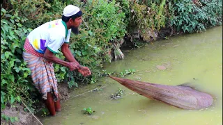 Cast Net Fishing Video - Traditional Net Fishing in Village People - Fishing By Cast Net (Part-39)