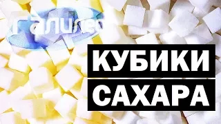 #Галилео | Кубики сахара ☕ Sugarcubes