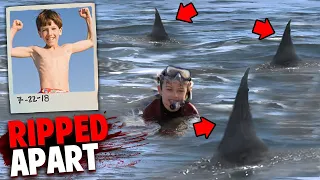 This Boy Was Attacked By a PACK of Sharks In front of His Family!