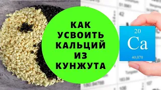 Самый лучший источник кальция. Совет диетолога