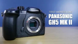 Panasonic Lumix GH5 MK II First Impressions Review (vs Lumix S5)