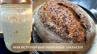 Закваска для хлеба - Моя история выращивания закваски / Женское Здоровье