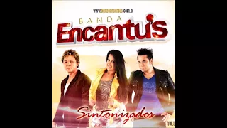 CD Banda Encantu's (Sintonizados) - Vol. 5, 2012