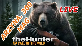 ARZYNA.300 MAG TACTICAL VS ZARZA .308 Black Bear GRINDING | Beginner COTW GUIDE !!Call Of The Wild