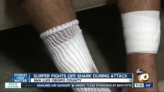 Surfer fights off shark