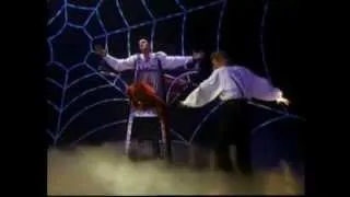 Siegfried and Roy Spider Web