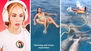 Swimming with sharks expectation vs reality