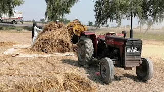 Massey Ferguson 240 power -mf 240 tractor performance on wheat thresher machine-Amazing agriculture
