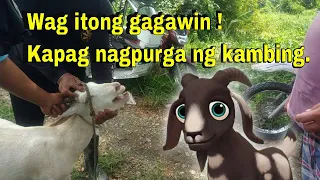 Tamang Pagpupurga ng mga Kambing ~ Hayop na Doktor ~ Veterinarian in the Philippines