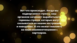 7 Психология отношений - "Стресс и его влияние на отношения"