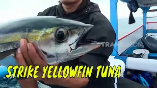 Parade Strike Yellowfin Tuna | MANCING MANIA STRIKE BACK (04/05/24) Part 2