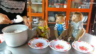 Most Obediently Donnl Molly Zuji Organized Sitting To Wait Mom Prepare Lunch For Them