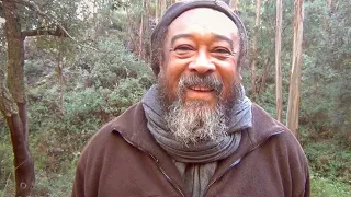 Spaziergang mit Mooji Baba - Liebe nährt alles (mit Untertiteln)