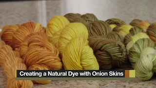 Create a Natural Dye with Onion Skins
