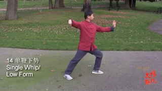 Yang Family Tai Chi Essential Form