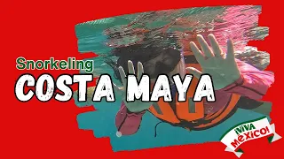 Snorkeling in Mahahual, Costa Maya Cruise Port