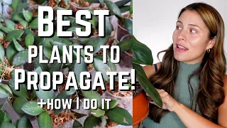 Best Houseplants to Propagate & HOW I do it! | My Favorite plants to propagate!