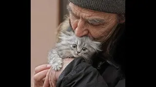 😺 Kindness will save the world! 🐈 Funny video with cats and kittens for a good mood! 😸