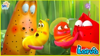 LARVA SEASON 2 EPISODE 205 ~ 306 🍟 NEST VERSION LARVA | COMICS | MINI SERIES FROM ANIMATION LARVA