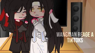 ( WangXian react to TikToks // +Memes // Modaozushi - The Untamed