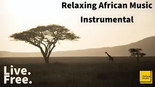 Relaxing African Instrumental Music, Studying, Concentration, Sleeping, Deep relaxation