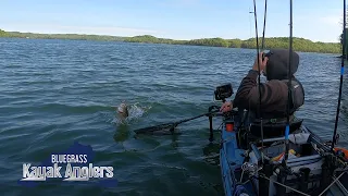 Dale Hollow - Kayak Tournament - Bluegrass Kayak Anglers