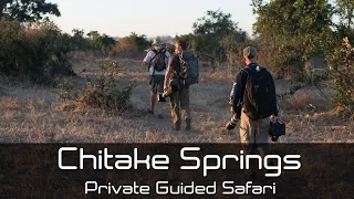 Private Guided Safari to Chitake Springs