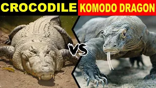 COROCODILE vs KOMODO DRAGON की लड़ाई में कौन जीतेगा ? CROCODILE VS KOMODO DRAGON